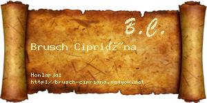 Brusch Cipriána névjegykártya